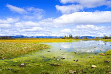 Nature Landscape Wallpapers   578029