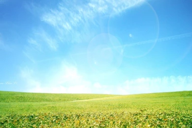 Dream, Bliss, Backgrounds, Landscape, Wallpapers (