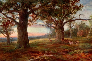 Nature, Wallpaper, Impressive, Shots, Landscape, Desktop ...