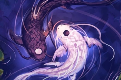 Koi Ying Yang HD Desktop Wallpapers