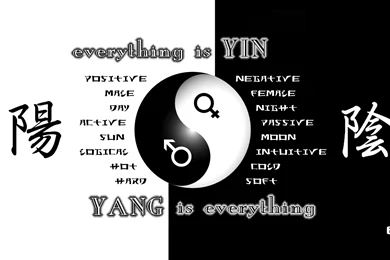Yin Yang Tumblr Meaning Imgtagram