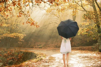 Hq Wallpapers Free Download (5)   HD 3D Unique Wallpapers