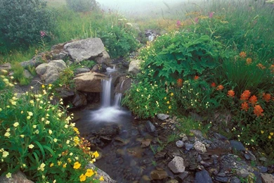 Hq Wallpapers Free Download