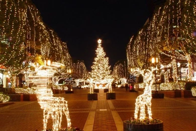 2015 New Christmas Wallpapers   Pics, Photos, Images, Pictures ...