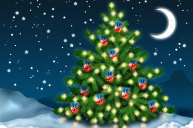 HOT] Top 15 Beautiful Christmas And New Year Wallpapers