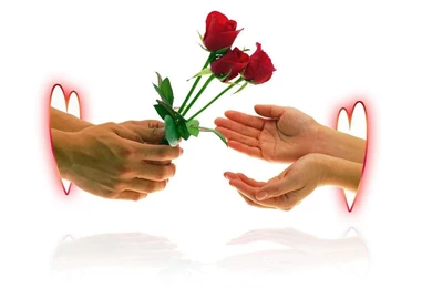 Valentines Day Gifts Wallpapers   Crazy Frankenstein