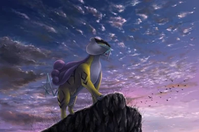 Raikou Pokemon HD Wallpapers 10