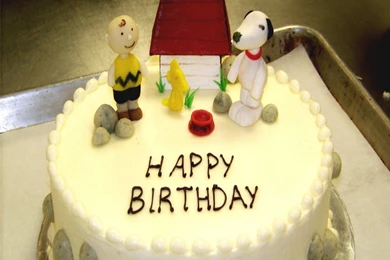 Free Funny Pictures Download   HD Wallpapers Pretty