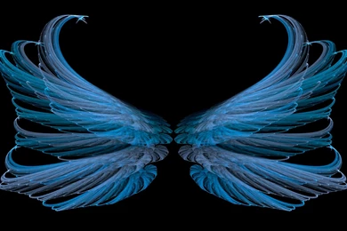 Blue Wings Glamorous Abstract Wallpapers
