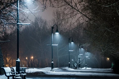 Hd Desktop Images, Large Wallpapers, Green, Sky, Plants, Mother ...