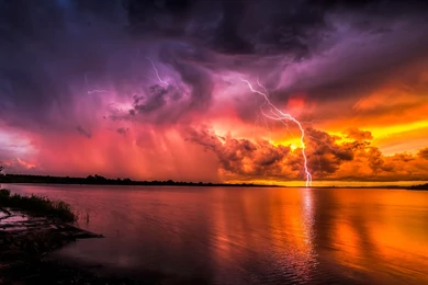 Hd Desktop Images, Large Wallpapers, Green, Plants, Mother Nature ...