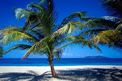 St. Croix US Virgin Islands Wallpapers