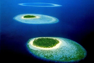 Free Desktop Wallpaper, Free Image Windows Xp