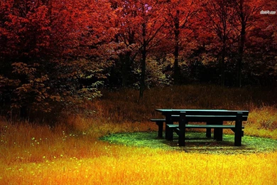 Autumn Landscape Wallpapers   Nature Wallpapers