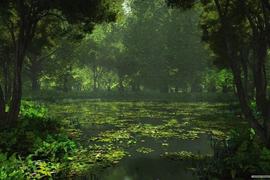 Nature Landscape Wallpapers   HD Wallpapers Lovely