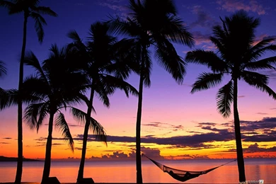 Fiji Sunset Wallpapers   92571