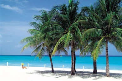 Cayman Islands Wallpapers HD.jpeg