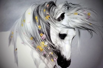 Wallpapers Horse Fantasy Spanish 1024x768