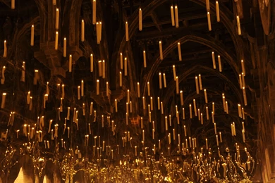 Theme Park Desktop Wallpapers