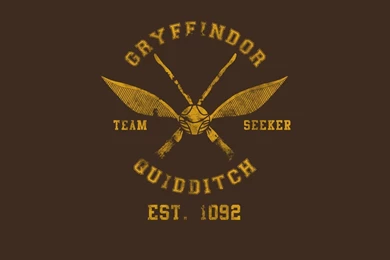 Harry Potter Quidditch Gryffindor Hogwarts