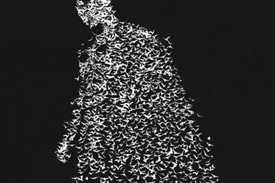 Wallpapers For Iphone 5 Hd Wallpapers