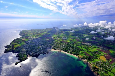 Fa951c96cca0f17091359fd91f Jpg 209971