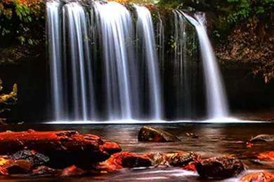 3D Waterfall Live Wallpapers 1.61