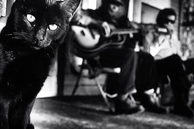 Blues Maker" Mississippi Fred McDowell, 1969 Documentary   Cigar ...