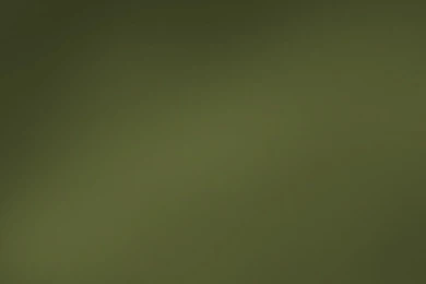 Olive Green Wallpapers   Wallpapers HD Base