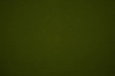 Olive Green Canvas Fabric Texture Picture