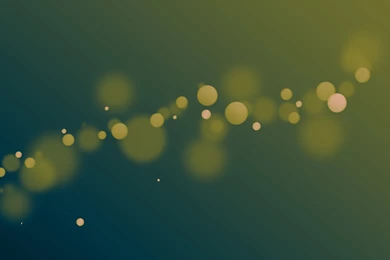 Phone Olive Wallpapers