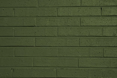 Olive Green Painted Brick Wall Texture Picture
