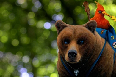 Banjo Kazooie VINYL Wallpapers   Imgur