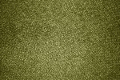 Olive Green Fabric Texture Picture