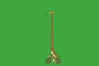 Biking Giraffe Wallpapers   Funny Wallpapers