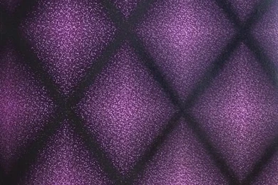 Chameleon Wallpapers From The Komodo Collection