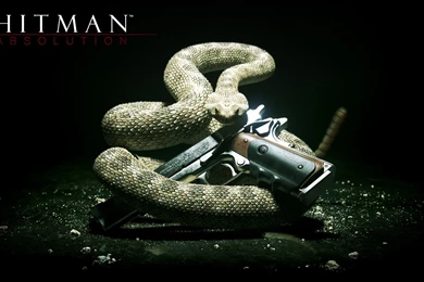 79 Hitman HD Wallpapers
