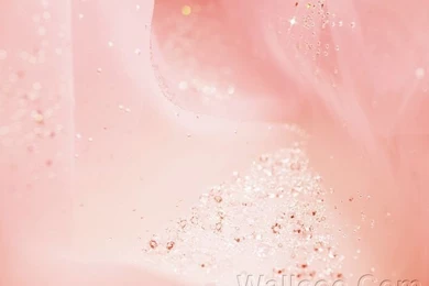 Pink And Sweet, Romantic Sparkling Backgrounds Wallpapers (1920+1600 ...