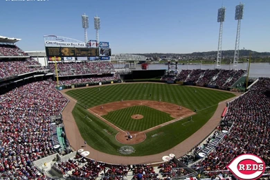 Cincinnati Bengals Wallpapers