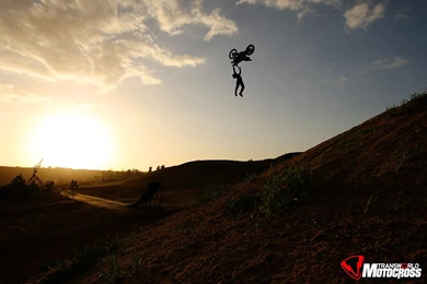 Bonus Wallpapers   FMX