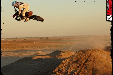 Wednesday Wallpapers: Lutes' Favorites