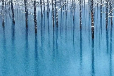 Wallpapers Samsung Galaxy A5 720 1280 Awesome Hi Quality