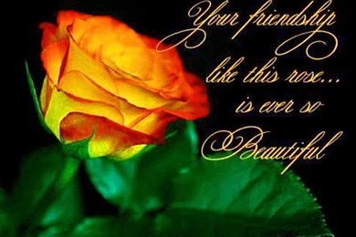 Thank You My Friend Laptop Hd Wallpapers