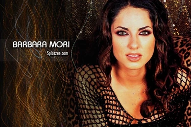 Wallpapers: Zee News