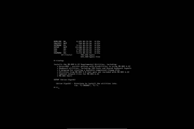 Installing MS DOS 6.22 YouTube