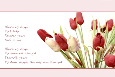 Love Message, Love Wallpapers   1 Million Love Messages