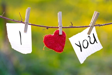 True Love Message Wallpapers