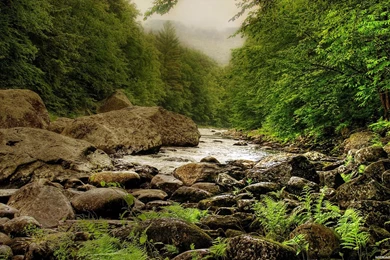 Gallery For   Best Wallpapers 1920x1080 Nature