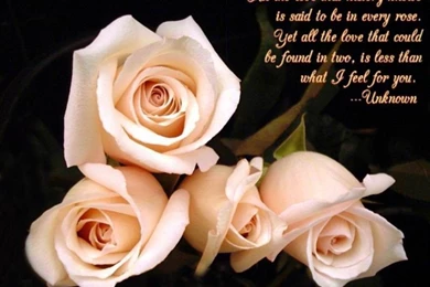 Love Wallpaper,download Free Wallpaper,free Images