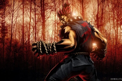 Akuma Marvel Vs Capcom 3 HD Wallpapers IHD Wallpapers